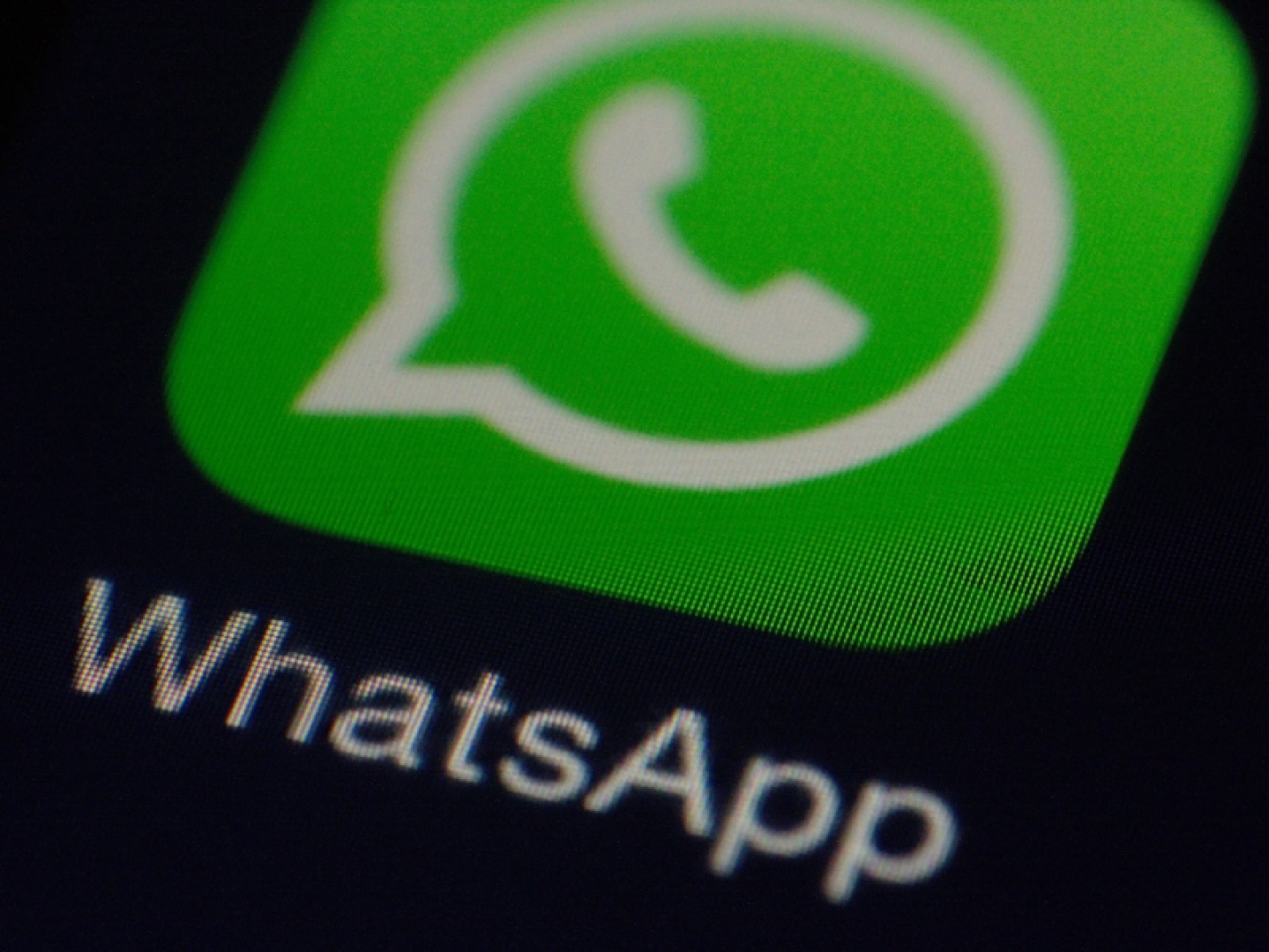 WhatsАpp заблокировал чат-бот оперштаба ЕАО по борьбе с коронавирусом
